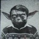Profile photo of rodevs
